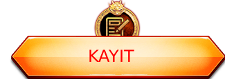 kayit.png